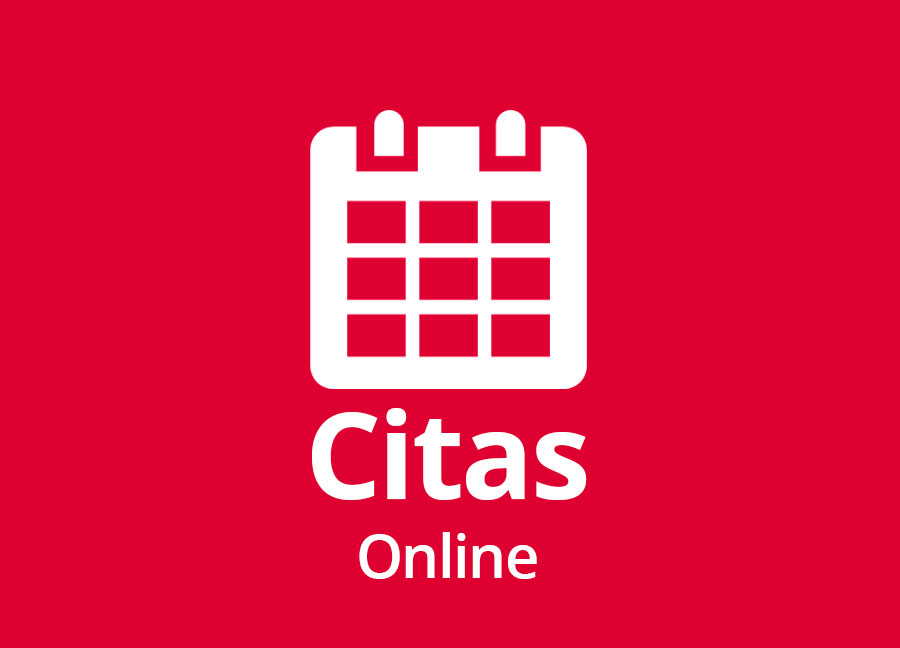 ico-citas.jpg