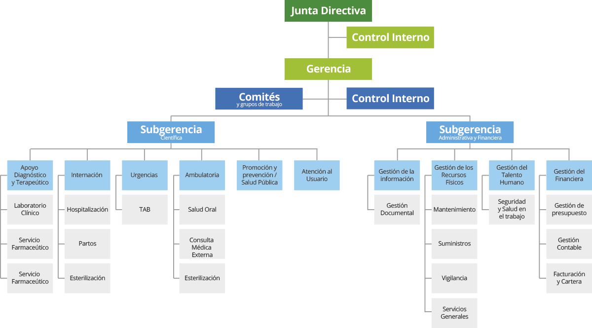 Organigrama Organigrama