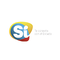 Si